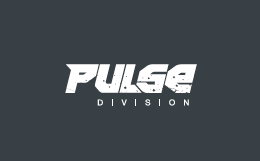 Pulse Division