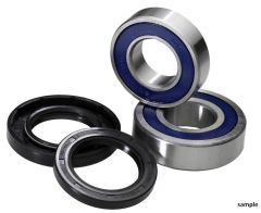 ALL BALLS WHEEL BEARING KIT 25-1039