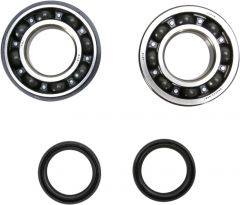 PROX CRANK BEARING SEAL KIT