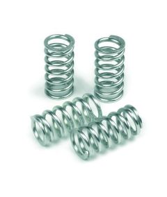 TRW CLUTCH SPRING SET