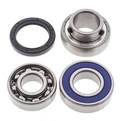 ALL BALLS CHAINCASE BEARING-SEAL KT