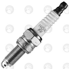 NGK Spark Plug - CPR8EB-9